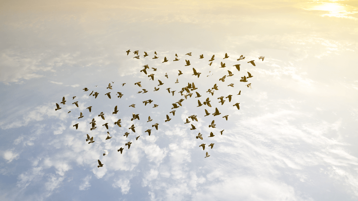 台廠展現技術領先優勢，2026台股具上攻機會